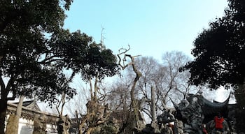 Beautiful stone garden in Suzhou