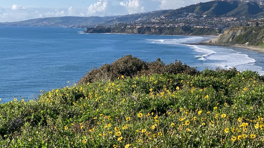 Dana Point Preserve