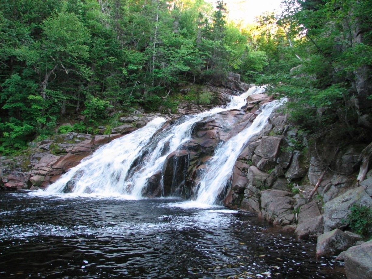 There are a number of waterfalls in this National Park and many of them only require a short, easy hike to see.