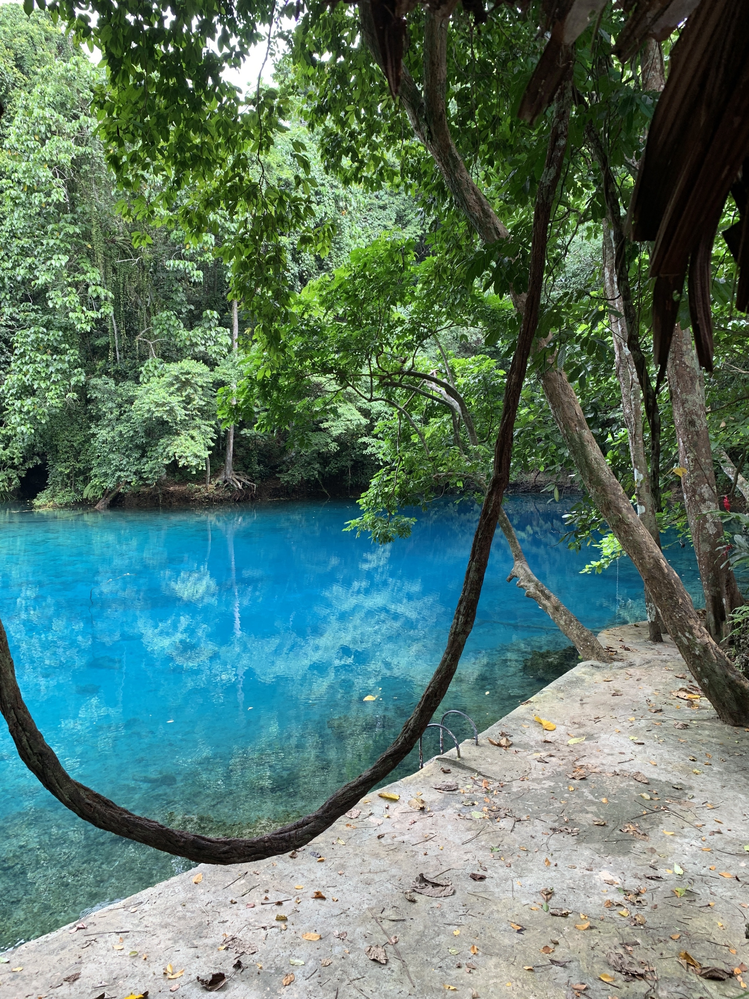 Yes really is that colour , fresh water and deep holes ,natural vine swing .