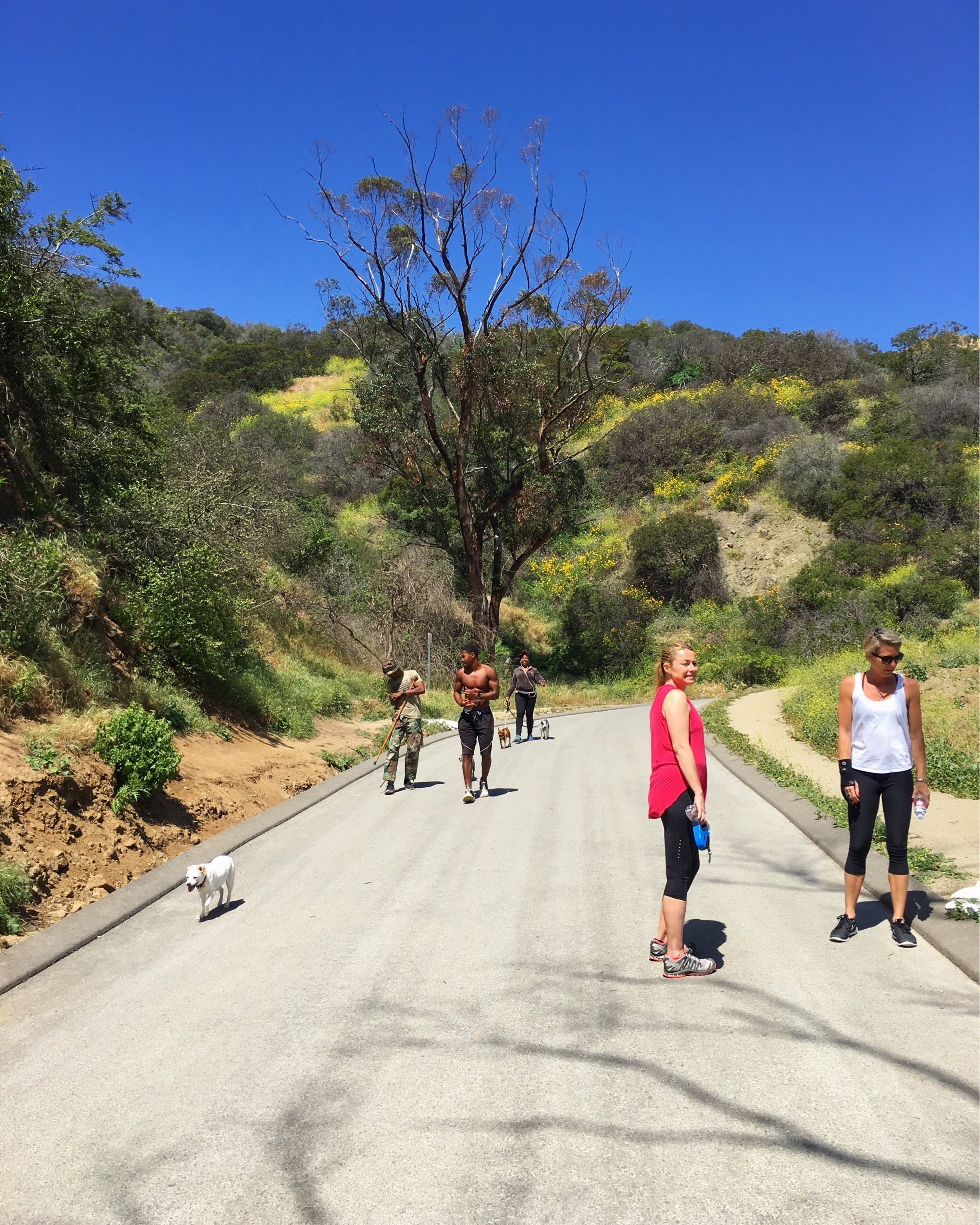 Runyon Canyon Park in Hollywood Hills | Expedia.co.uk