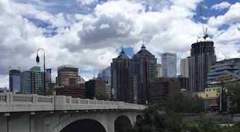 On the serious side. This is a photograph of downtown Calgary that I took during my visit in June 2016. I found Calgary to be such a beautiful city.