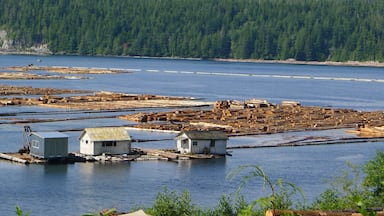 Woodlogs floating on water near Telegraph Cove, BC.   In the distance you notice a log boom barrier that prevents the logs to "escape".