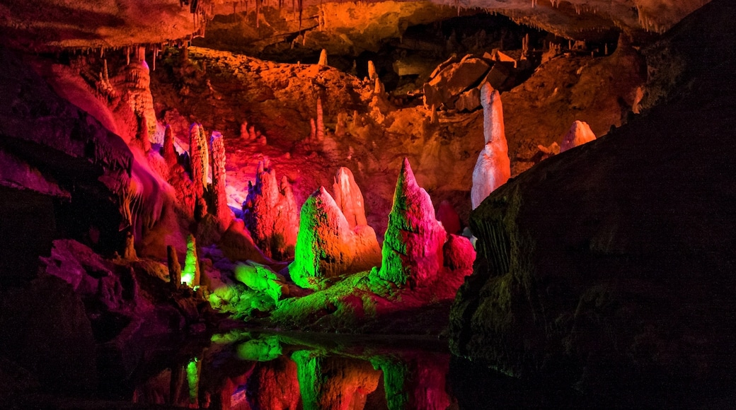 Forbidden Caverns, Sevierville, Tennessee, United States of America