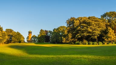 3 photo stitch panorama of my local park, taken just before sunset, great place for a late evening summertime stroll 