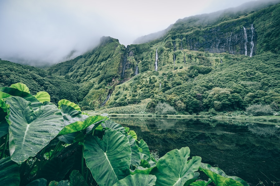 Amazing natural sight on Flores island. Waterfalls all around.
#trover #portugal #azores #hiking #nature #waterfalls
Make sure you follow me on:
https://www.facebook.com/ShotByCanipel/
https://www.instagram.com/canipel/