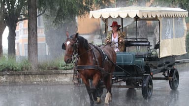 A Tuscan cowgirl in a hailstorm.  Not often you see that.