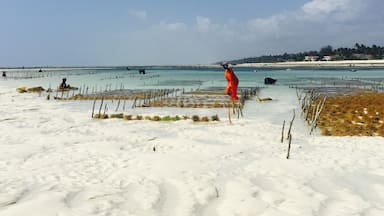 Low tide - Tanzania // September 2015