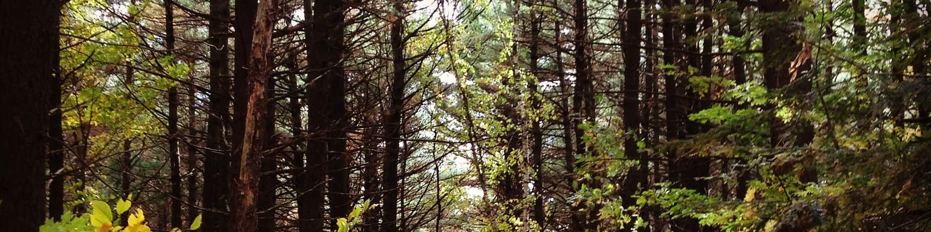 Trois-Rivières on a beautiful day.