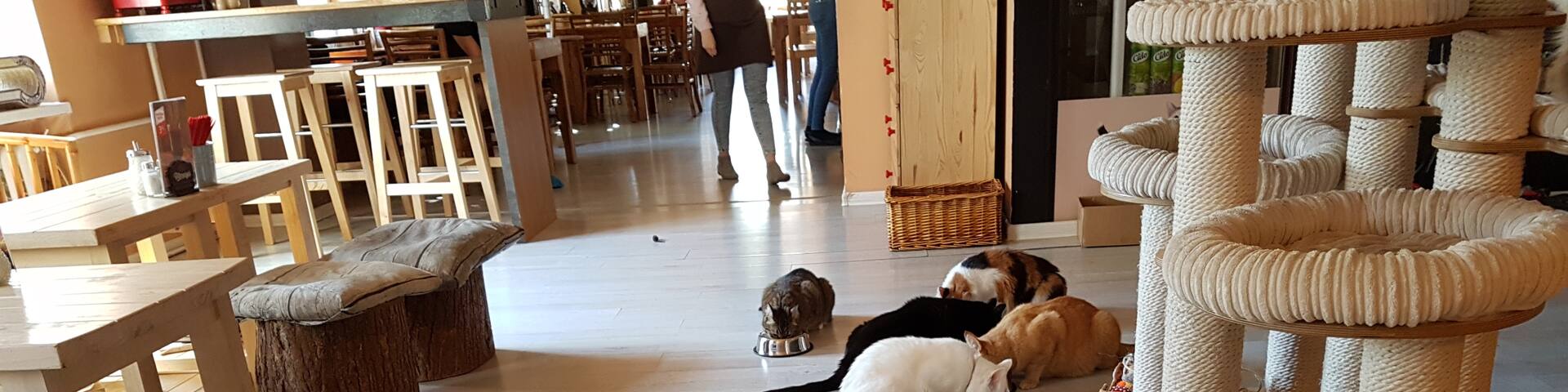 Naujamiestis, Vilnius, Vilnius County, Lithuania