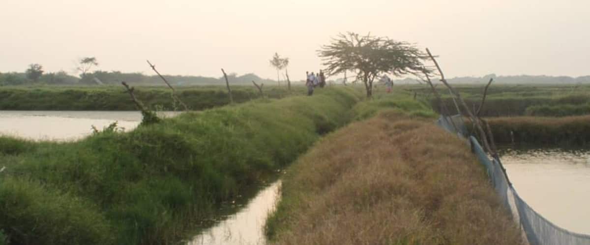 Fish farming is done here!!