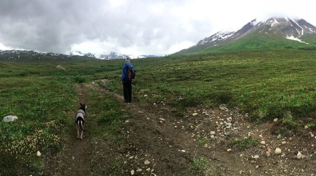 Photo by Paradise On Pennies