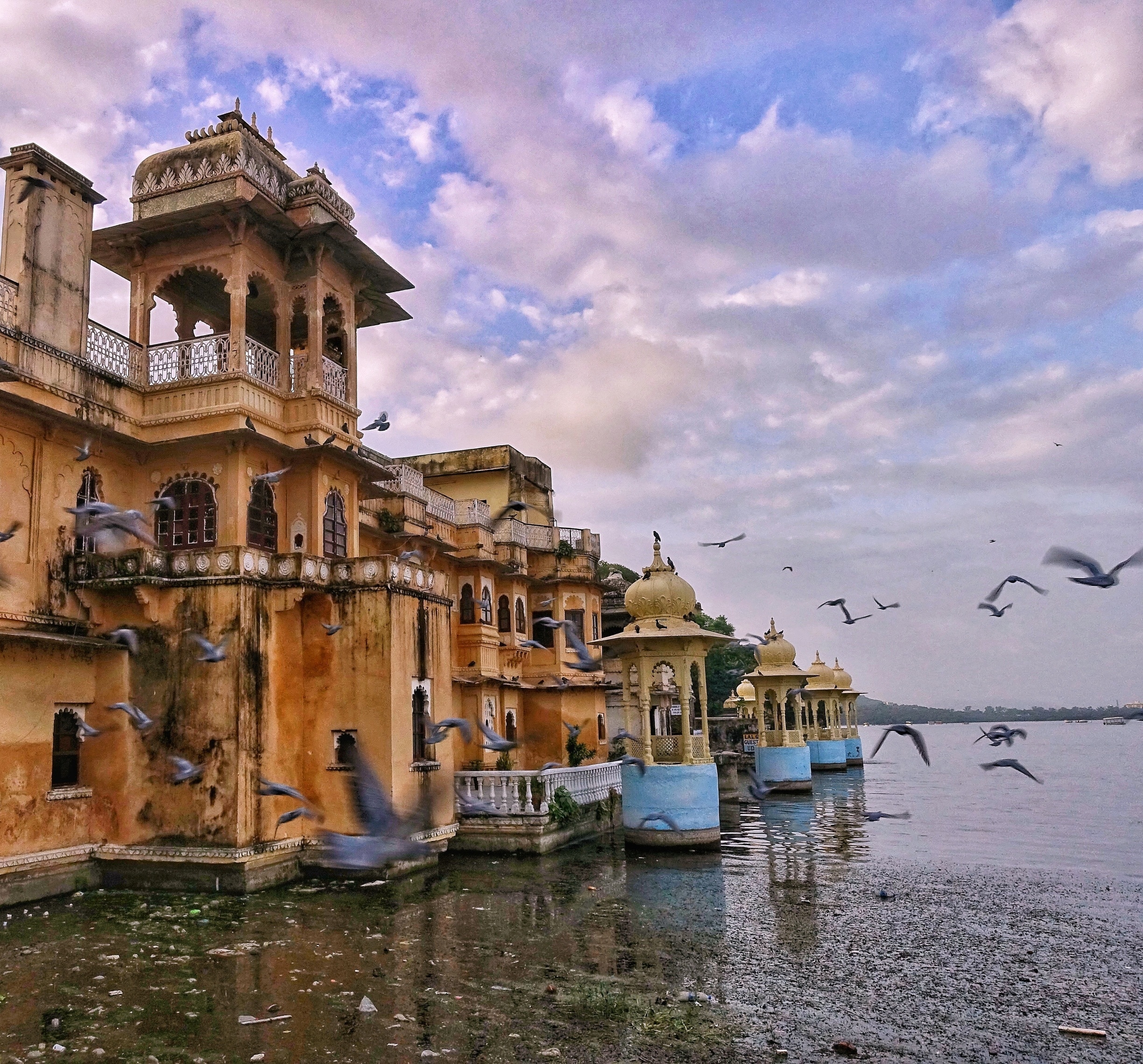 Take an early morning walk at Gangaur Ghat and witness a peaceful Udaipur.

#Udaipur #Rajasthan #IncredibleIndia