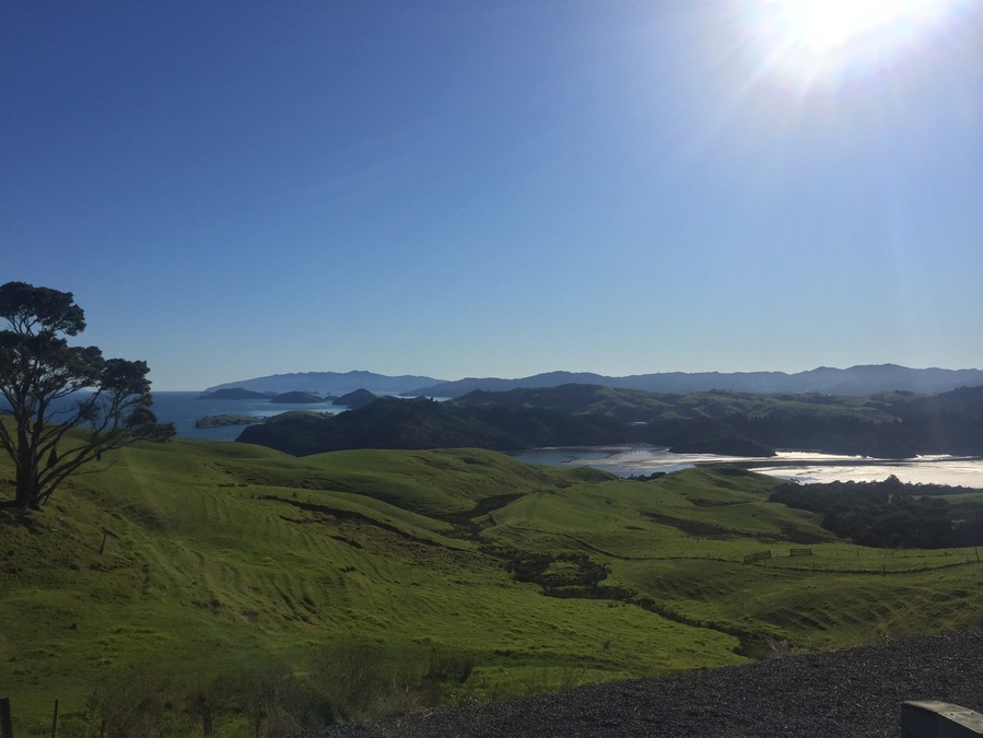 Beautiful lookout on the road to Auckland via the 25 on the Coromandel Peninsula. This route takes a bit longer but offers breathtaking views all along the way. Passing thru adorable beach cities you'll find some hidden gems!