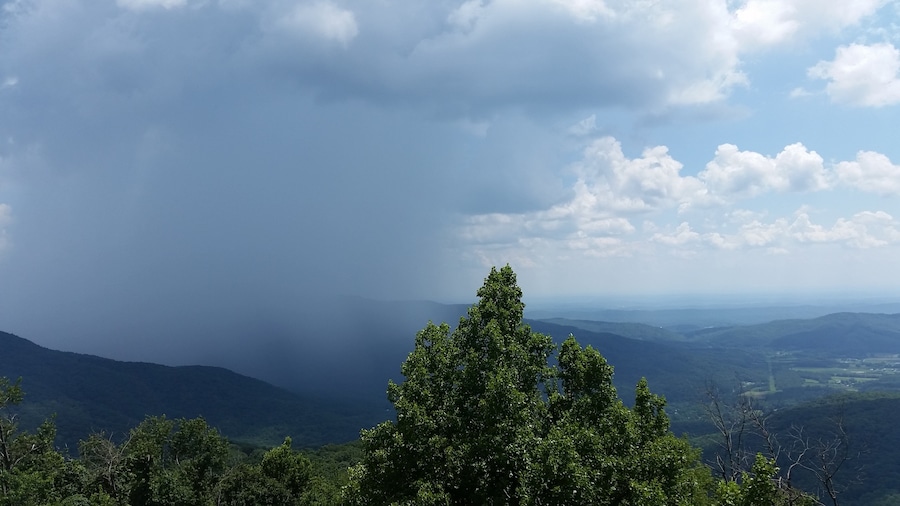 FireTower