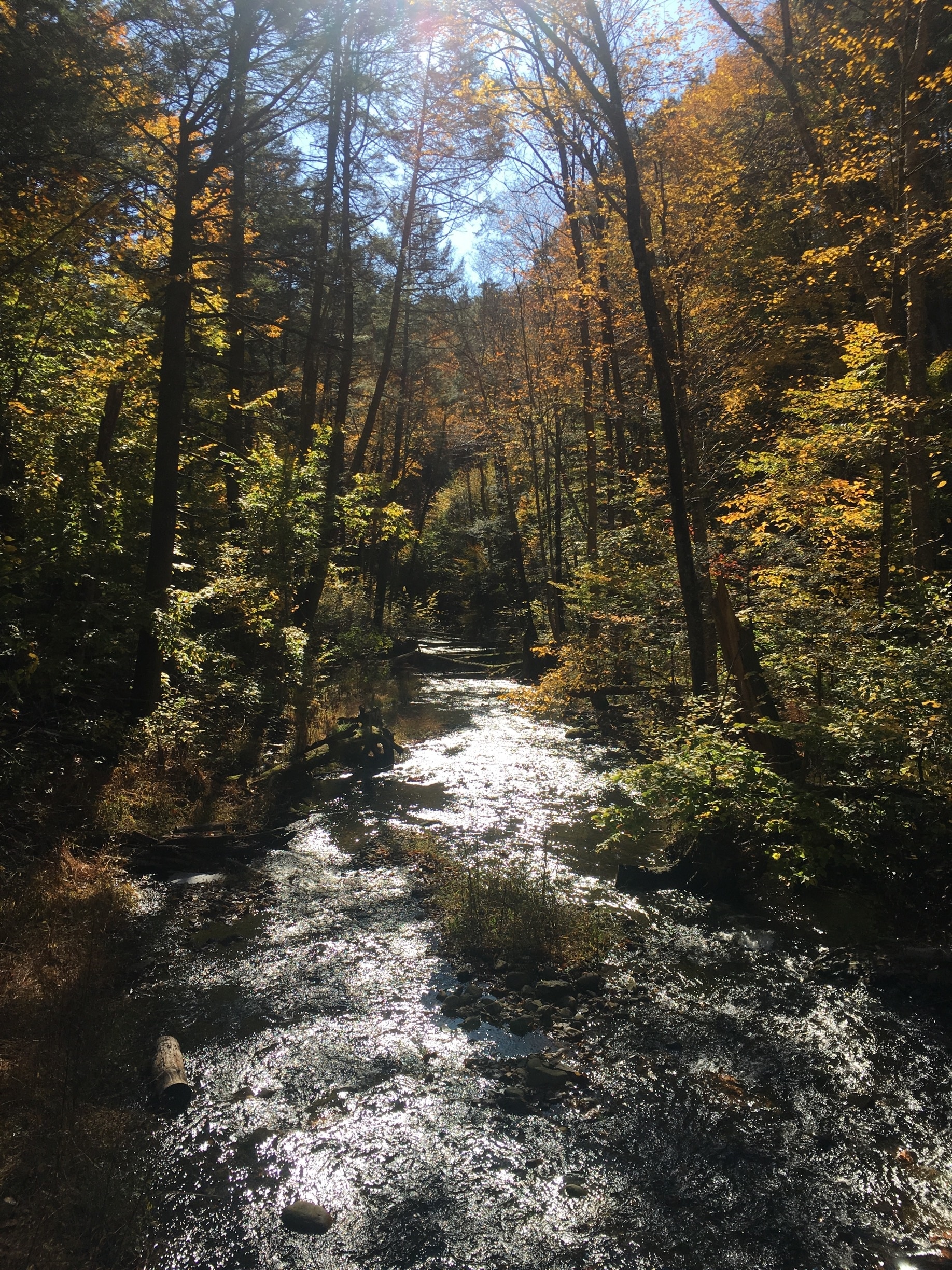 Visit Dingmans Ferry 2021 Travel Guide for Dingmans Ferry