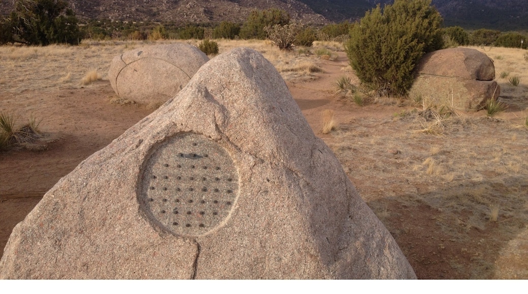 Photo by Kate Cadwell