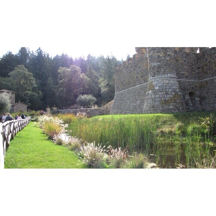 Top 20 Napa, CA family friendly vacation rentals Vrbo