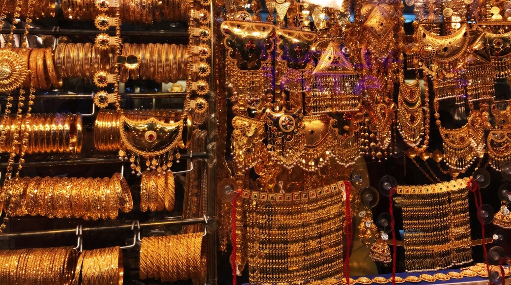 Photo by Suzanne Vidal