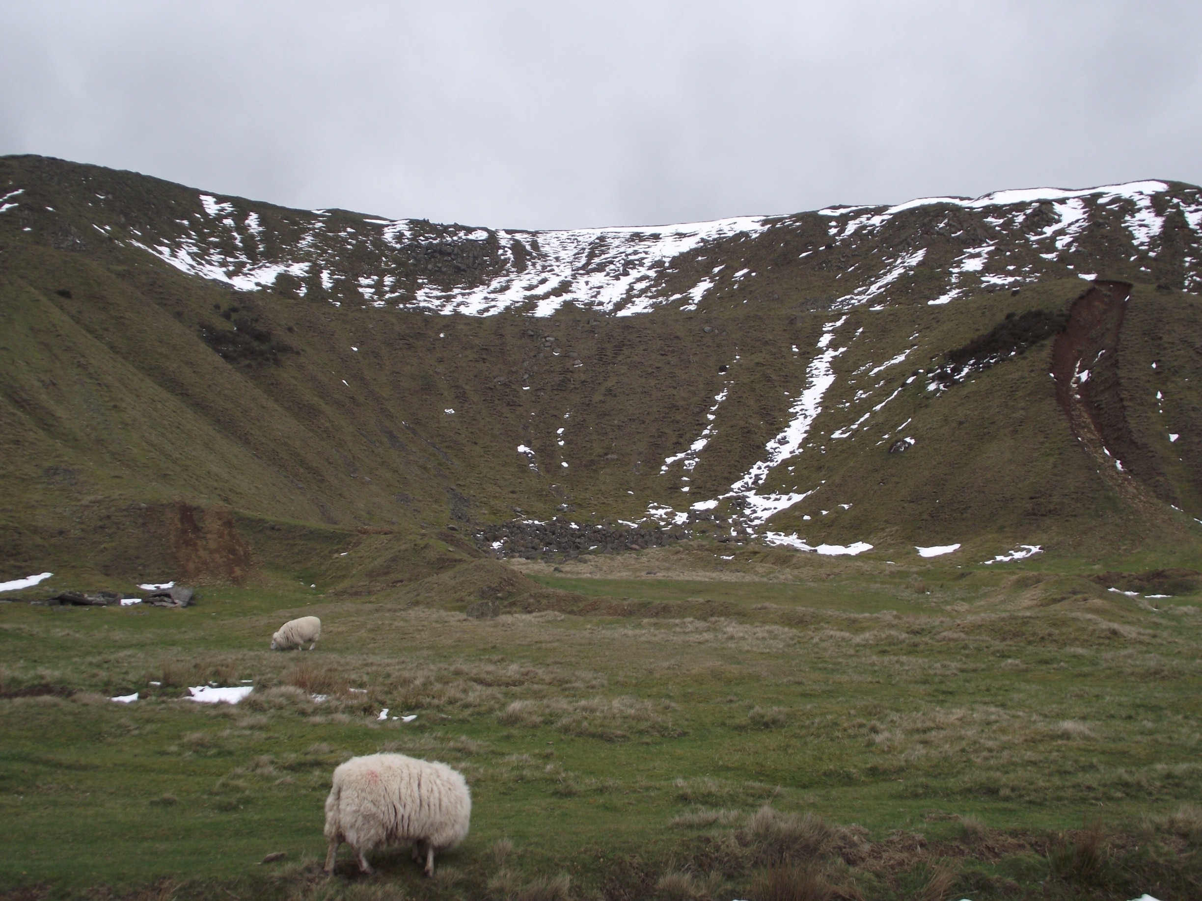 Snow capped hills, icy weather...but the sheep seem happy enough!