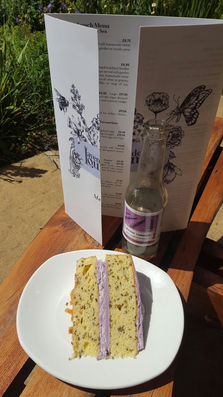  Have your cake and eat it......infused with lavender at Norfolk Lavender farm. Gardens, small animal  zoo, cafe , gift shop and loads of Lavender. ♡