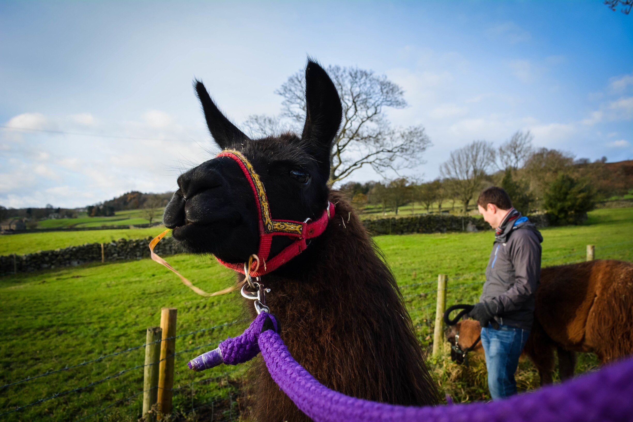 Foto tomada por Natasha  sinton 