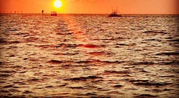 Florida’s gulf coast has some of the most beautiful sunsets. This picture was taken at Hudson Beach, luckily the weather has been beautiful all weekend and we were able to enjoy blue skies these weekend. #floridasunset #hudsonbeach #gulfofmexico #floridalifestyle #beachbum