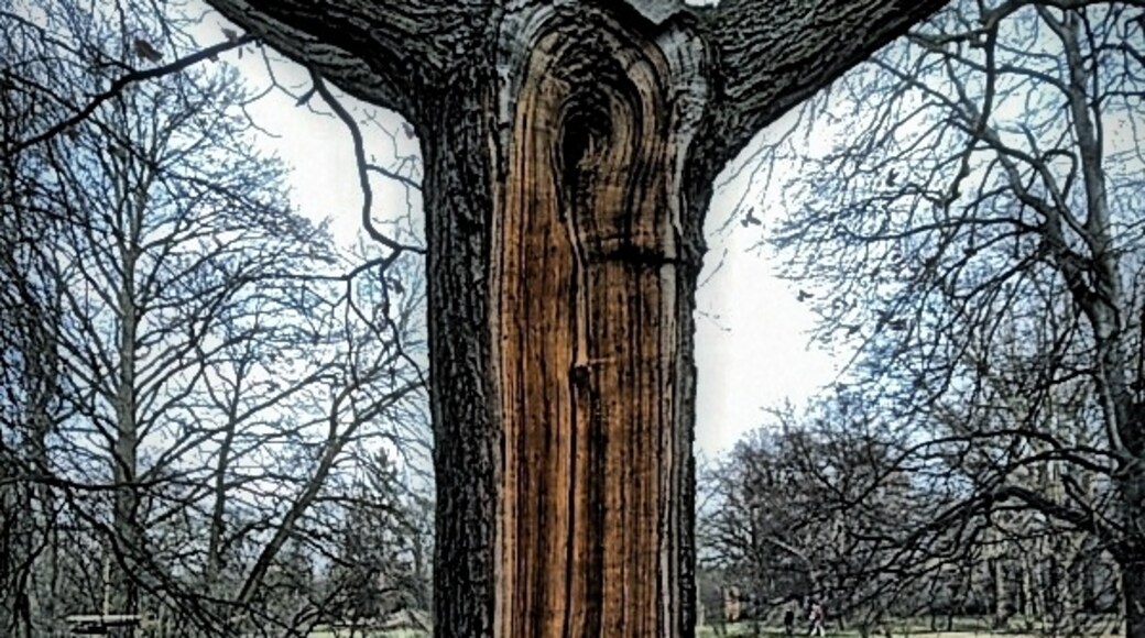 Foto oleh Mark Barecki