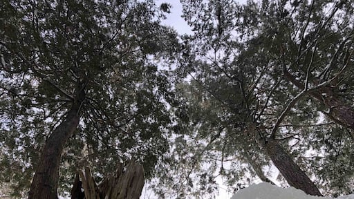 Foto por Emmanuel Agon Kresky