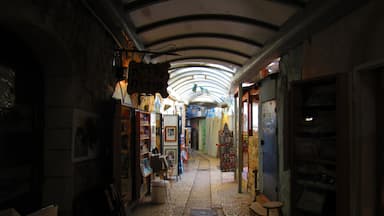 The combination of religion, culture, and art made Tzfat one of my favorite cities in all of Israel. 