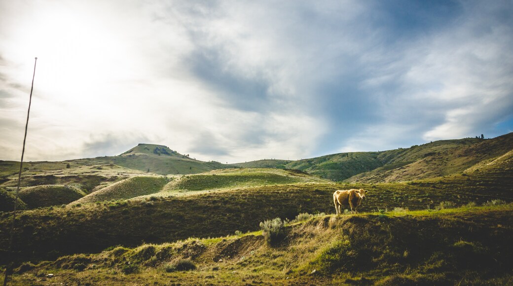 Photo by Michael Camilleri