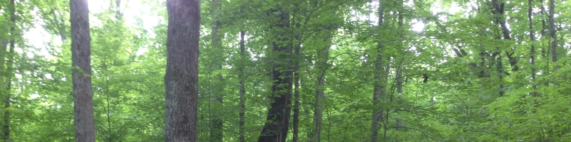 At MM it's easy to get lost if you take one of myriad of off trail shoots and even the marked trails are poorly marked, so have a non-Internet/cell compass! Night hiking is allowed.