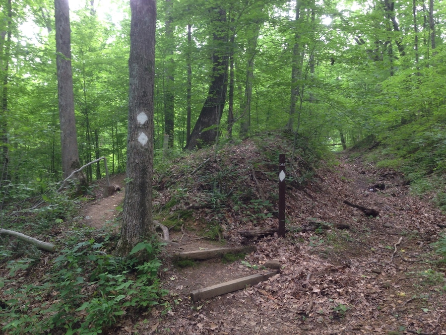 At MM it's easy to get lost if you take one of myriad of off trail shoots and even the marked trails are poorly marked, so have a non-Internet/cell compass! Night hiking is allowed.
