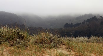 Foggy evening in Pacifica, CA