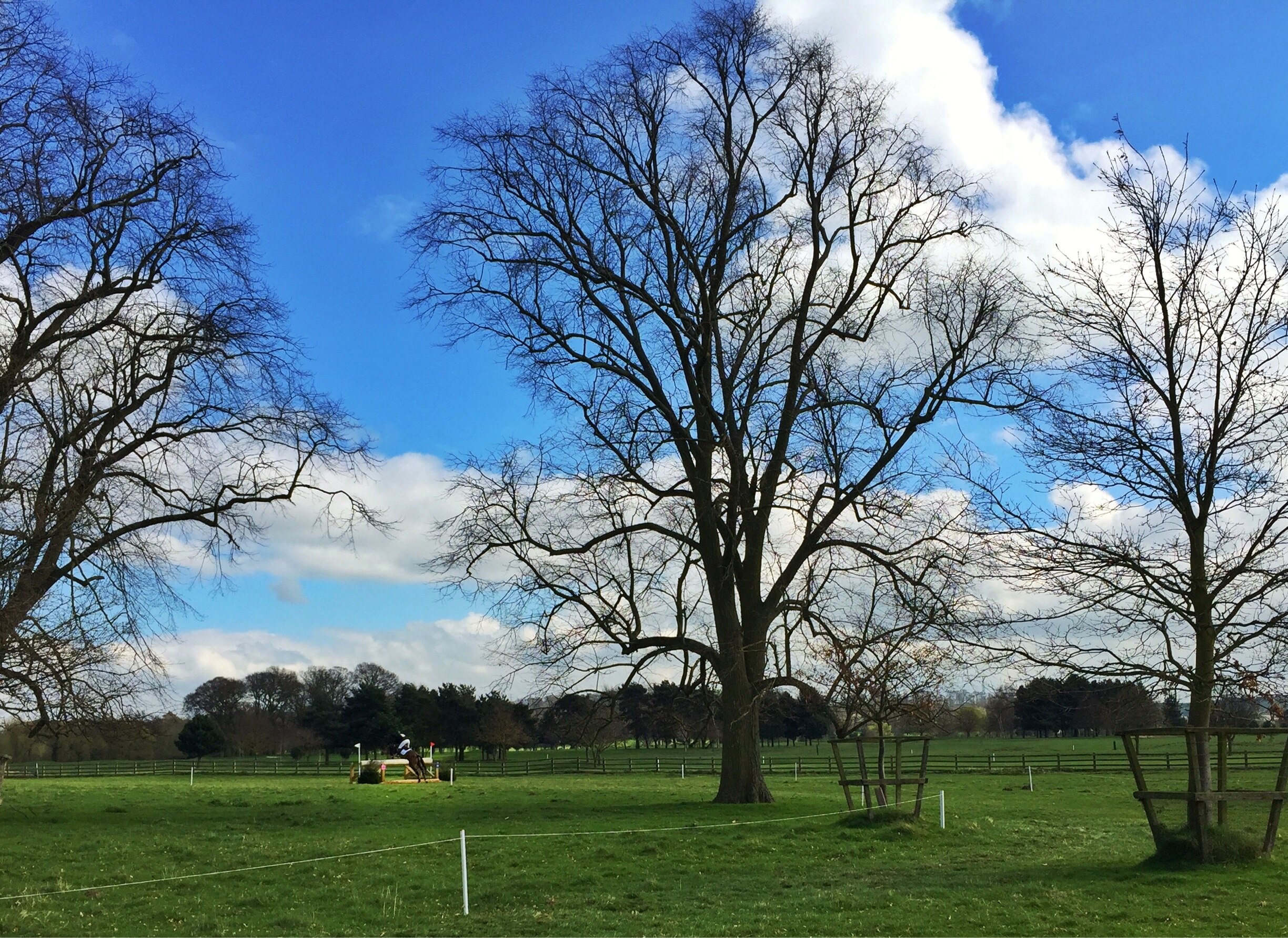 Valokuva: Travels with Chelsea