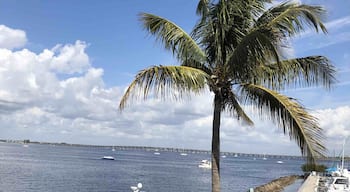 Wonderful weather in high 70s while dining at The Captain’s Table Restaurant in Punta Gorda in Fisherman’s Village. Our good friend Diane from upstate New York flew down for the week to celebrate our birthdays.