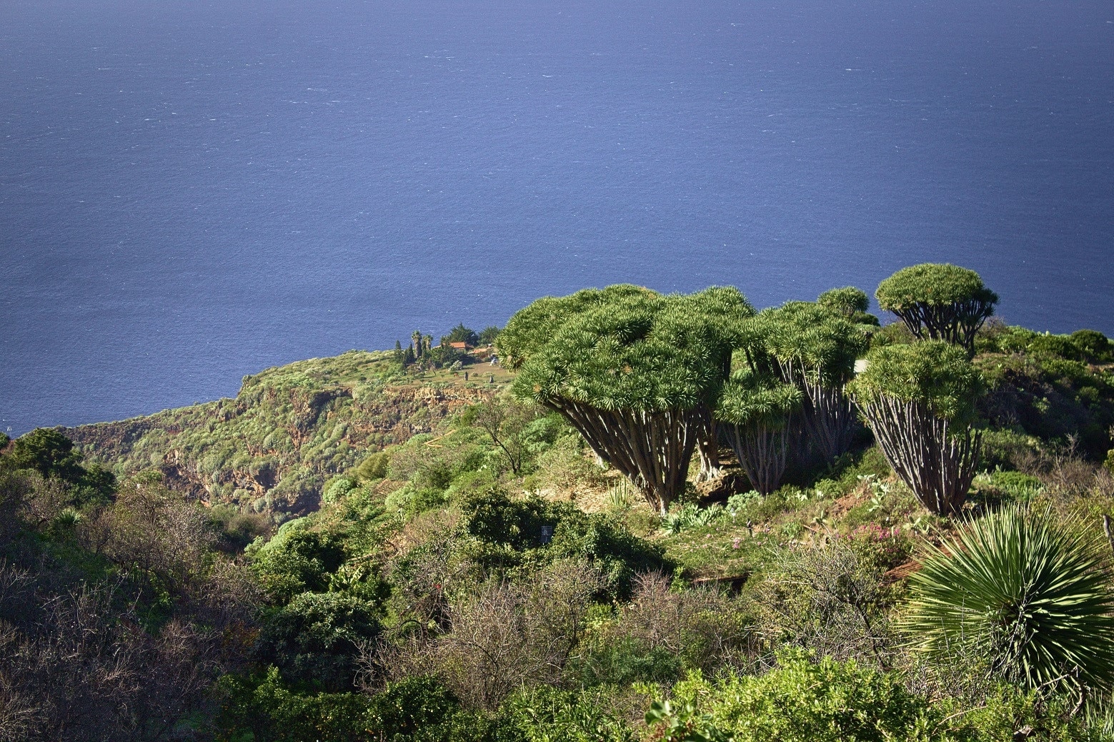 Las Tricias, Garafia, Kanarische Inseln, Spanien