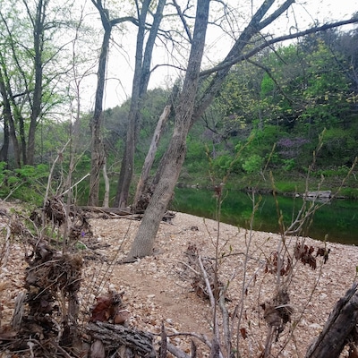 This is a photo from a neighbors farm. Basically it is a private river as no one goes there.