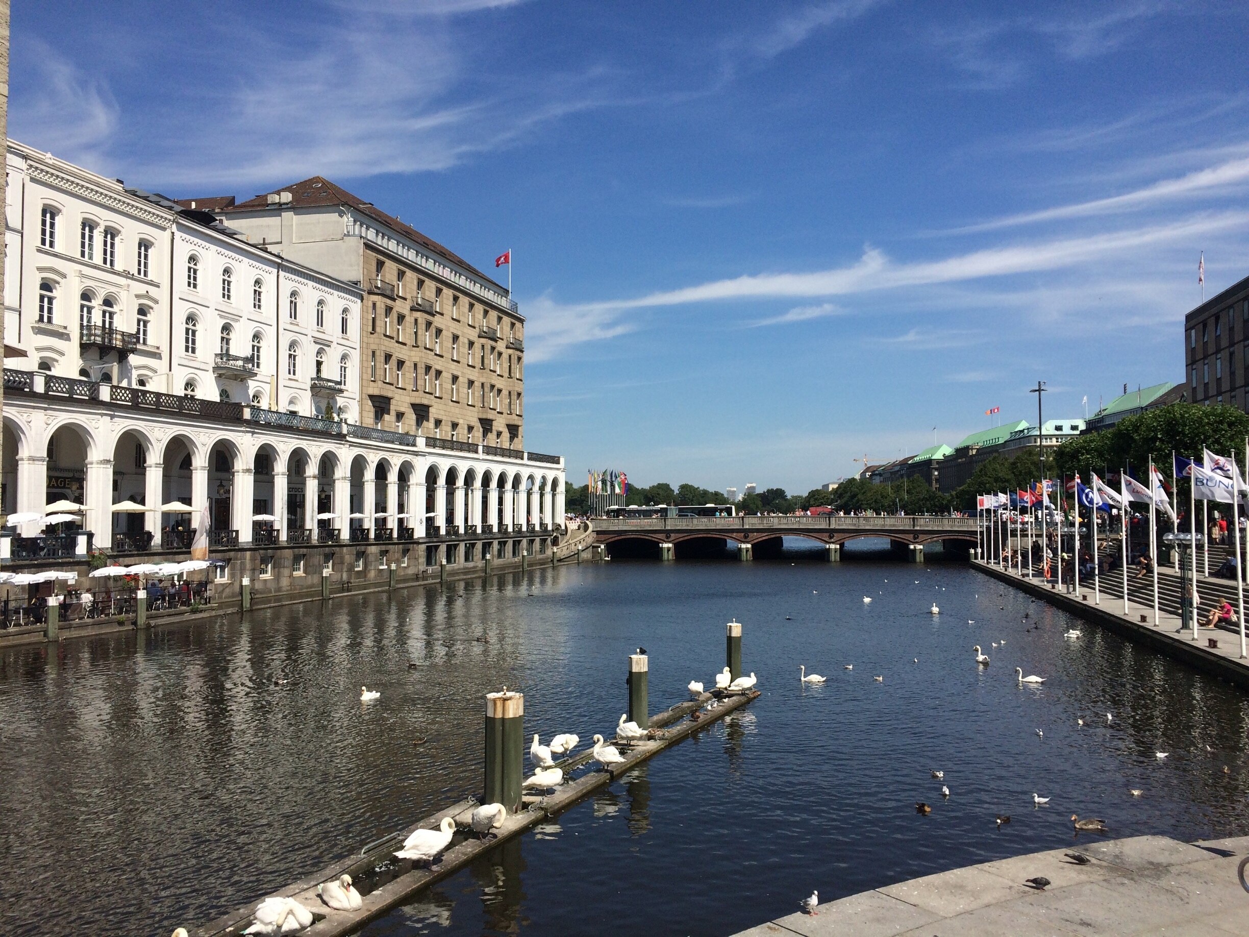 Alsterarkaden in Stadtzentrum von Hamburg Touren und Aktivitäten