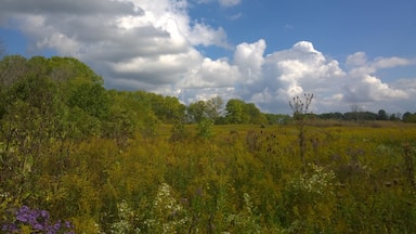 A view from the trail at Gleason family nature preserve in Galion, OH.