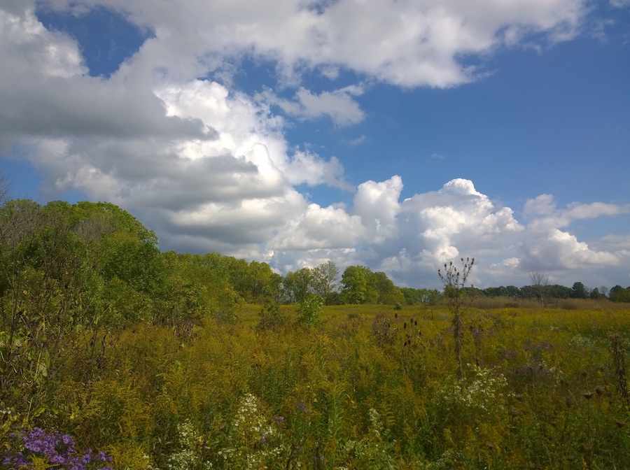 A view from the trail at Gleason family nature preserve in Galion, OH.