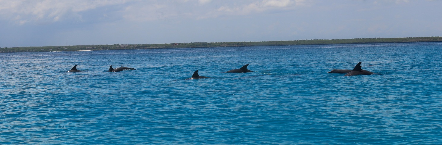 Matemwe, Tanzania