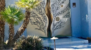 What a magnificent door – stainless steel and brass located in the Las Palmas area of Palm Springs