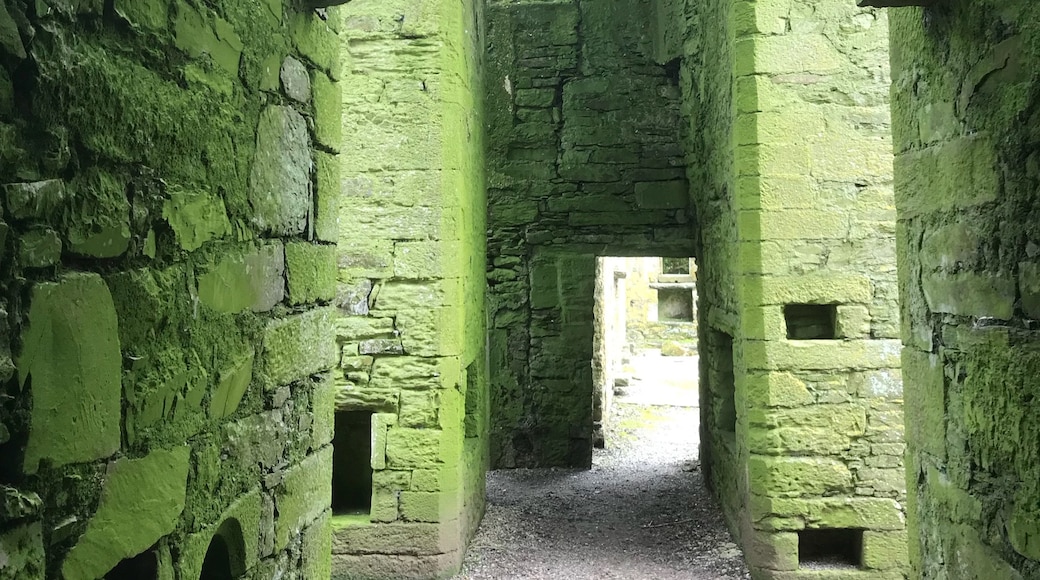 Timoleague Abbey, Timoleague, County Cork, Ireland