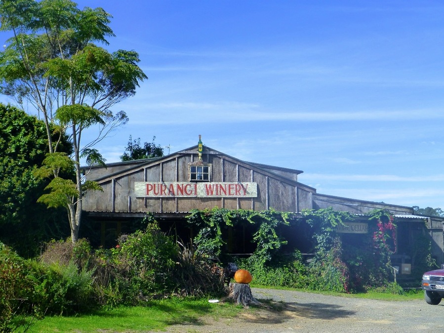 If you’re looking for a winery with a bit of character, you have to check out Purangi Winery.
There is nothing pretentious about this family-run winery, and prepare yourself for a large tasting of their wines and liqueurs and lots of great stories.