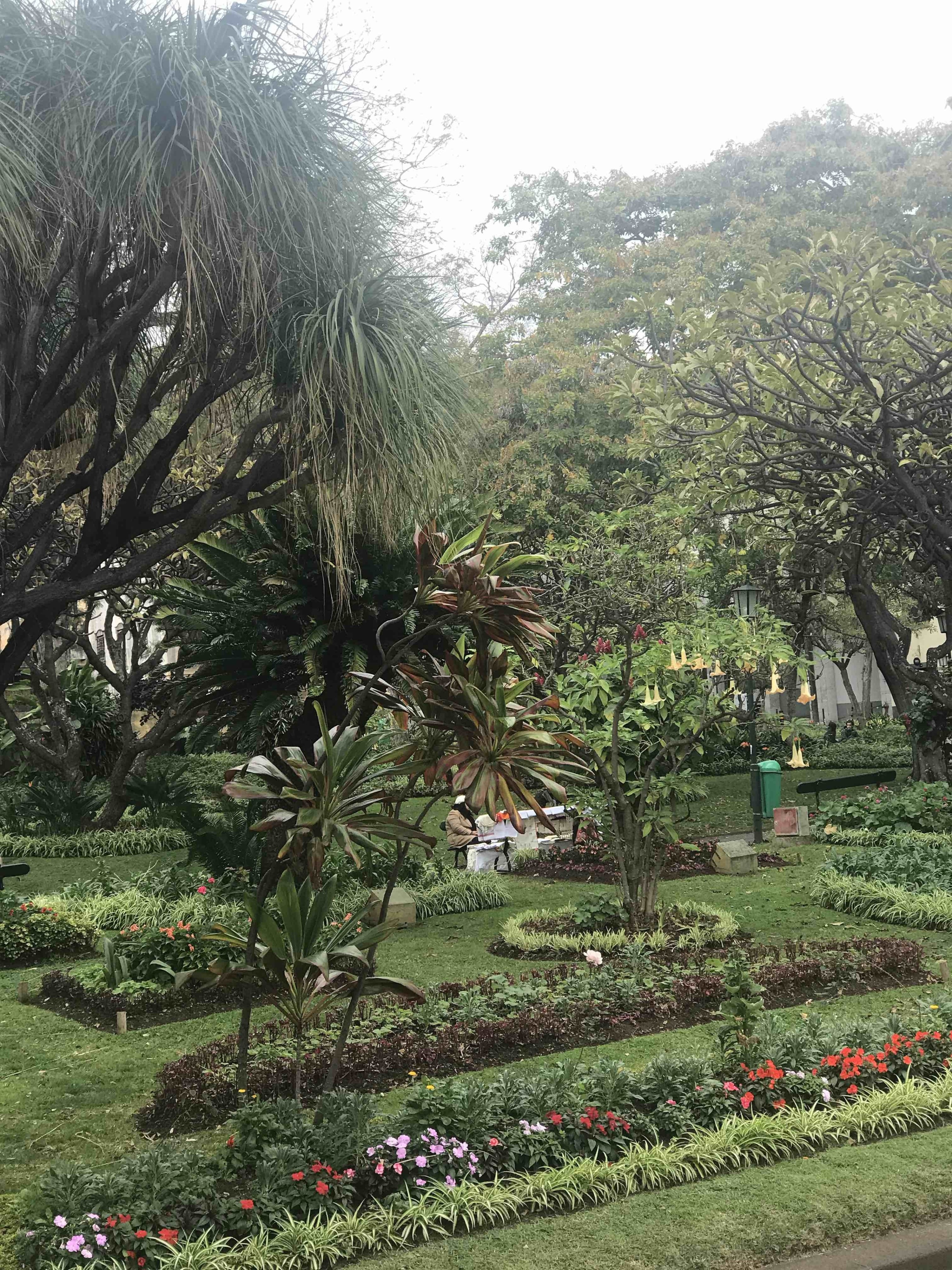 Public garden on the island of flowers 
#lifeatexpedia