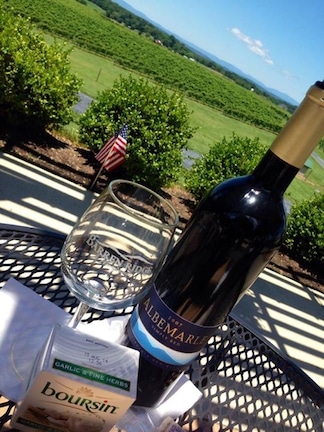 Patio view of the vineyard, great place to relax with a bottle of wine and snacks