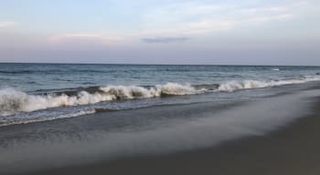 Walking the beach of Corolla.