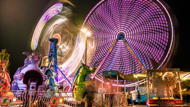 Life's a merry-go-round, enjoy the ride.

#LocalSecrets
