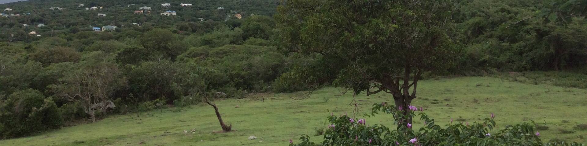 Fountain, Parroquia de Saint James Windward, St. Kitts y Nevis